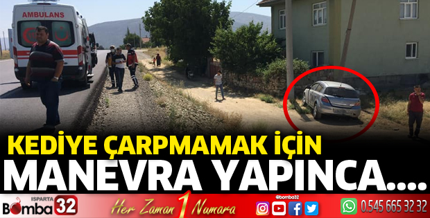 Kediye çarpmamak için manevra yapınca şarampole uçtu