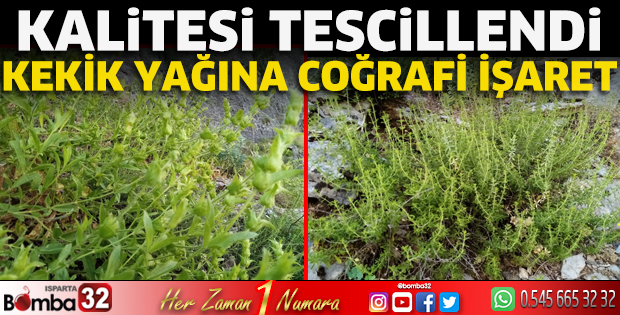 Kekik yağına coğrafi işaret