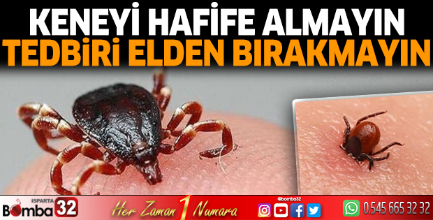 Keneyi hafife almayın