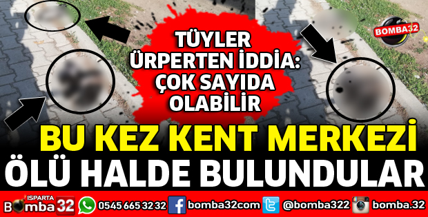 KENT MERKEZİNDE ÖLÜ HALDE BULUNDULAR