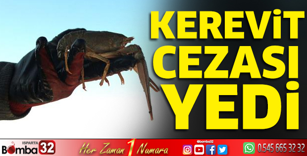 Kerevit cezası yedi