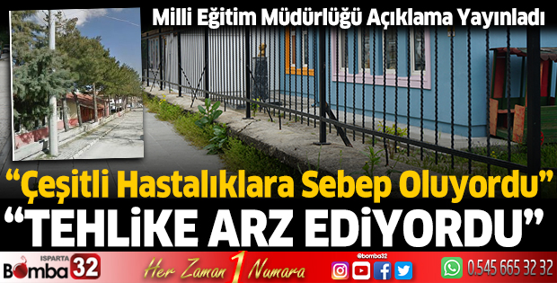 Kesilen ağaçlarla ilgili MEM açıklama yaptı