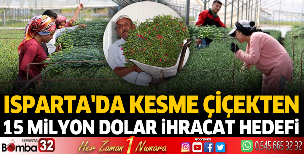 Kesme çiçekten 15 milyon dolar ihracat hedefi