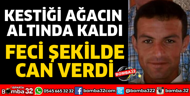 KESTİĞİ AĞACIN ALTINDA KALARAK CAN VERDİ