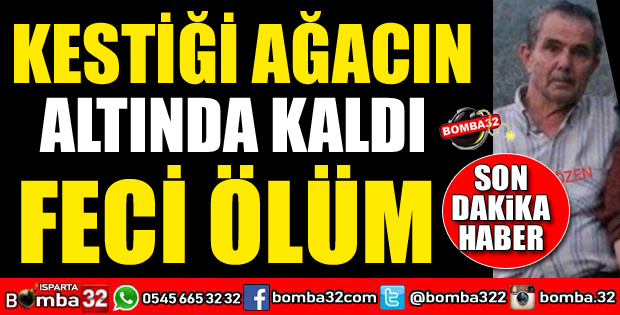 KESTİĞİ AĞACIN ALTINDAN KALARAK CAN VERDİ