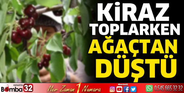 Kiraz toplarken düşerek yaralandı