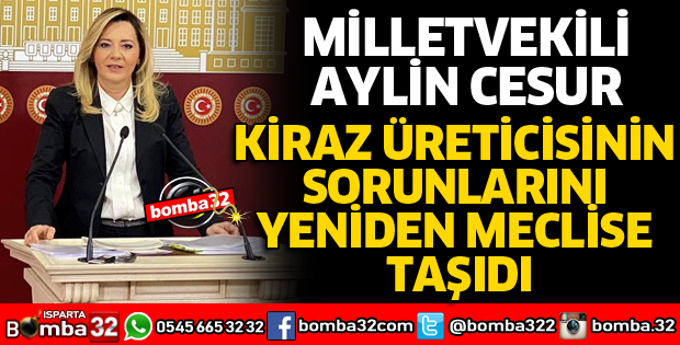 KİRAZ ÜRETİCİSİNİN SORUNLARINI YENİDEN MECLİSE TAŞIDI