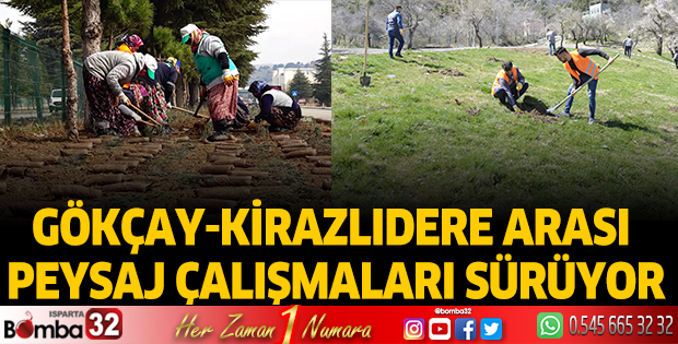 Kirazlıdere’ye kiraz fidanları dikildi