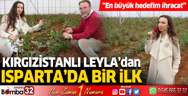 Kırgızistanlı Leyla, devlet desteği ile kesme gül serası kurdu