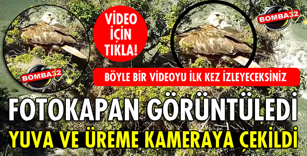 KIZIL ŞAHİNLERİ AN VE AN KAYDETTİ!