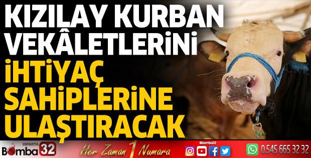 Kızılay kurban vekâletlerini ihtiyaç sahiplerine ulaştıracak