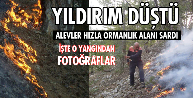 KIZILDAĞ'DA ORMAN YANGINI
