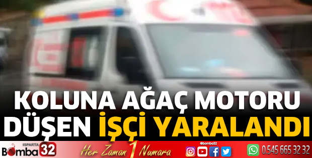 Koluna ağaç motoru düşen işçi yaralandı