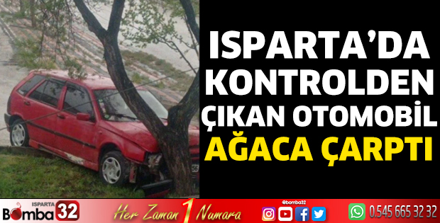 Kontrolden çıkan otomobil ağaca çarptı