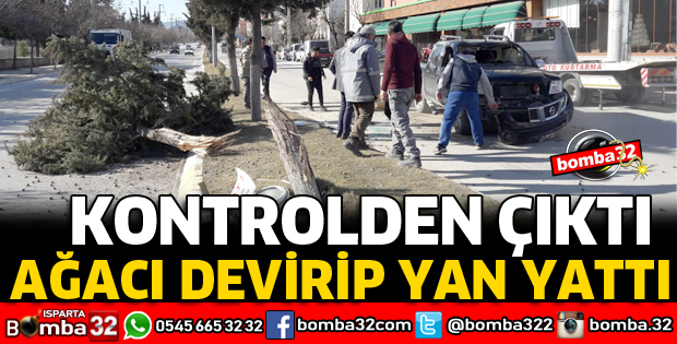 KONTROLDEN ÇIKIP AĞACA ÇARPTI, YAN YATTI