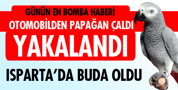 KONUŞAN PAPAĞANI ÇALDI
