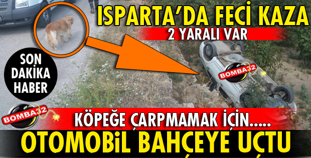 KÖPEĞE ÇARPMAMAK İÇİN BAHÇEYE UÇTU