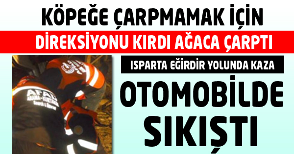 KÖPEĞE ÇARPMAMAK İÇİN DİREKSİYONU KIRDI  AĞACA ÇARPTI