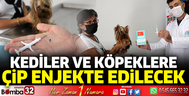 Köpekler 2021, kediler 2022 sonuna kadar çiplenecek