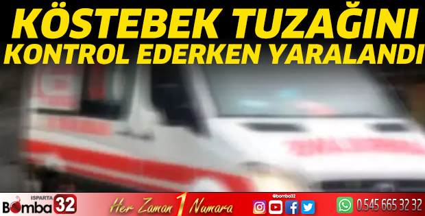 Köstebek tuzağını kontrol ederken yaralandı