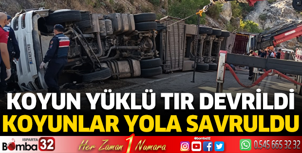 Koyun yüklü TIR devrildi