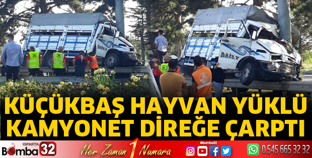 Küçükbaş hayvan yüklü kamyonet direğe çarptı