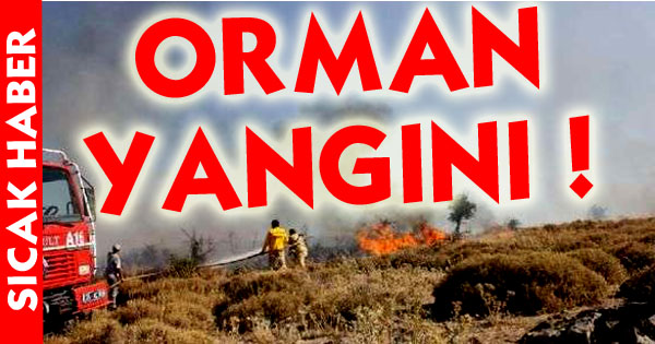 Küçükgökçeli'de Orman Yangını!