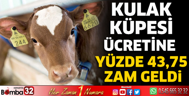 Kulak küpesi ücretine yüzde 43,75 zam geldi
