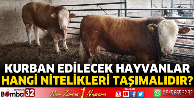 Kurban edilecek hayvanlar hangi nitelikleri taşımalıdır?