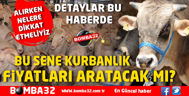 KURBANLIK FİYATLARI ARTACAK MI ?