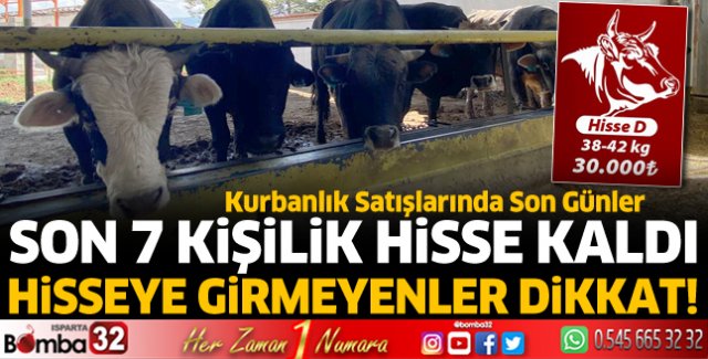 Kurbanlık hisse satışlara başladı