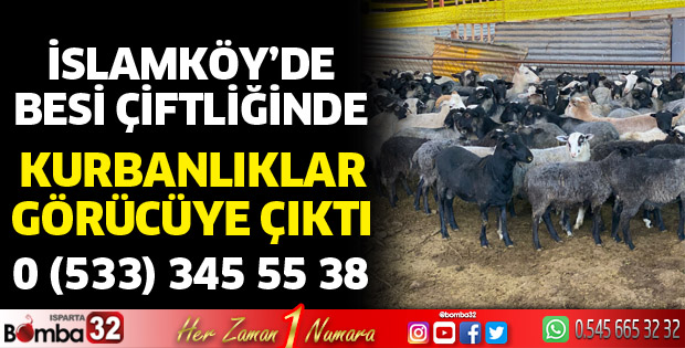 Kurbanlıklar görücüye çıktı
