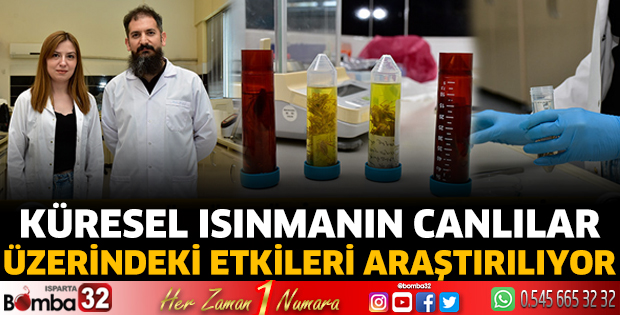 Küresel ısınmanın canlılar üzerindeki etkileri araştırılıyor