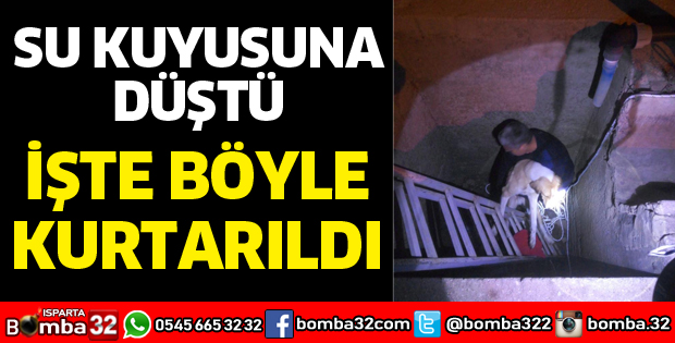 KUYUYA DÜŞEN KÖPEĞİ İTFAİYE KURTARDI