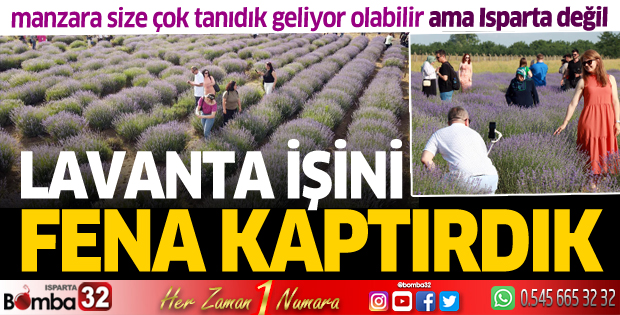 Lavanta işini fena kaptırdık