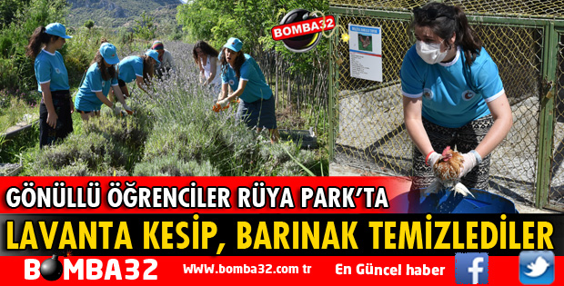 LAVANTA KESİP BARINAK TEMİZLEDİLER     