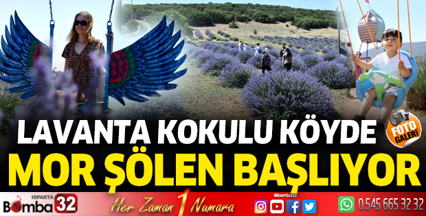 Lavanta kokulu köyde mor şölen başlıyor