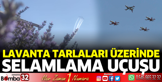 Lavanta tarlaları üzerinde selamlama uçuşu