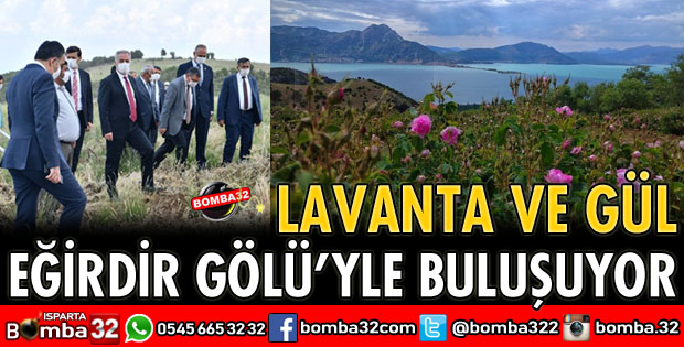 LAVANTA VE GÜL EĞİRDİR GÖLÜYLE BULUŞUYOR