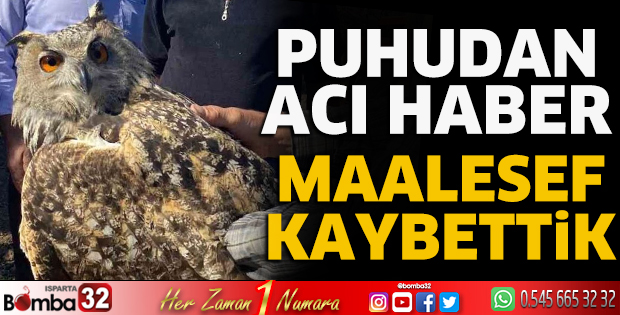 Maalesef kaybettik