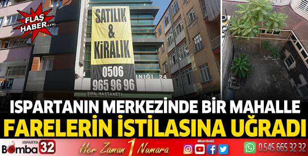 Mahalle farelerin istilasına uğradı