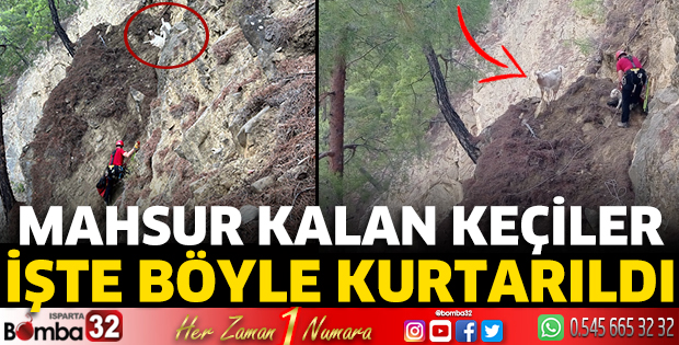 Mahsur kalan keçiler işte böyle kurtarıldı