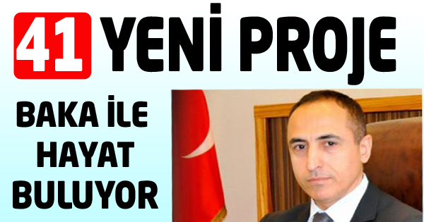 Mali destek programı