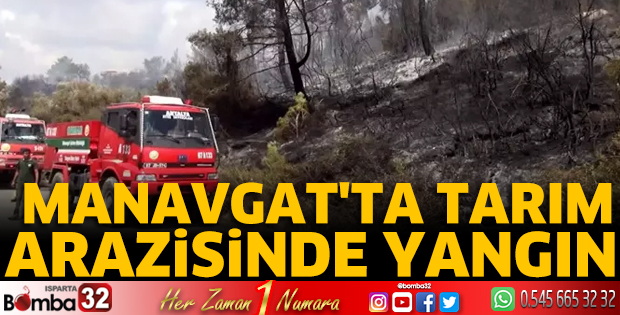 Manavgat'ta tarım arazisinde yangın