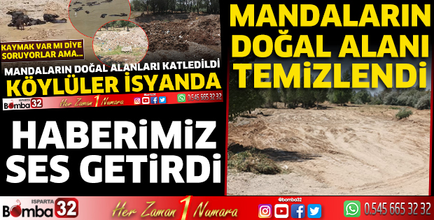 Mandaların doğal alanı temizlendi 