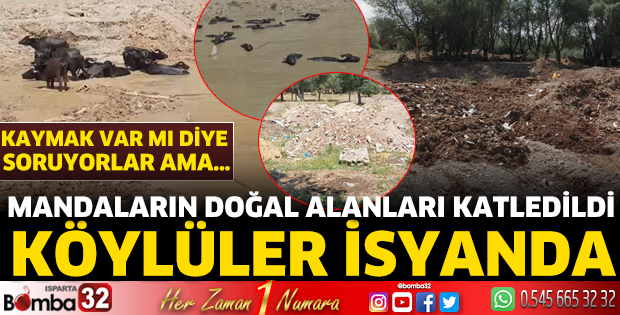 Mandaların doğal alanları katledildi