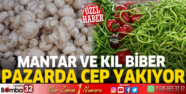 Mantar ve kıl biber cep yakıyor