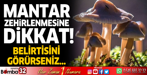Mantar zehirlenmelerine dikkat