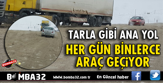 MAYIN TARLASINA DÖNDÜ