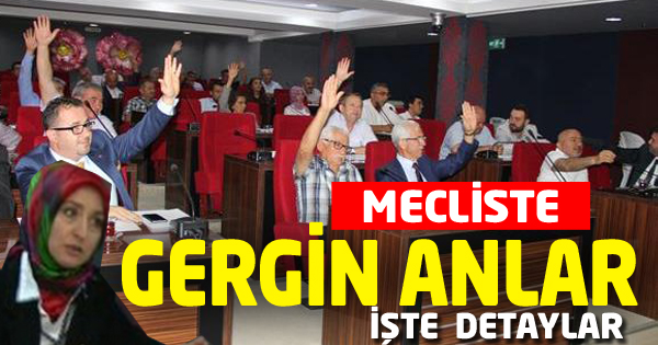 MECLİS KARIŞTI